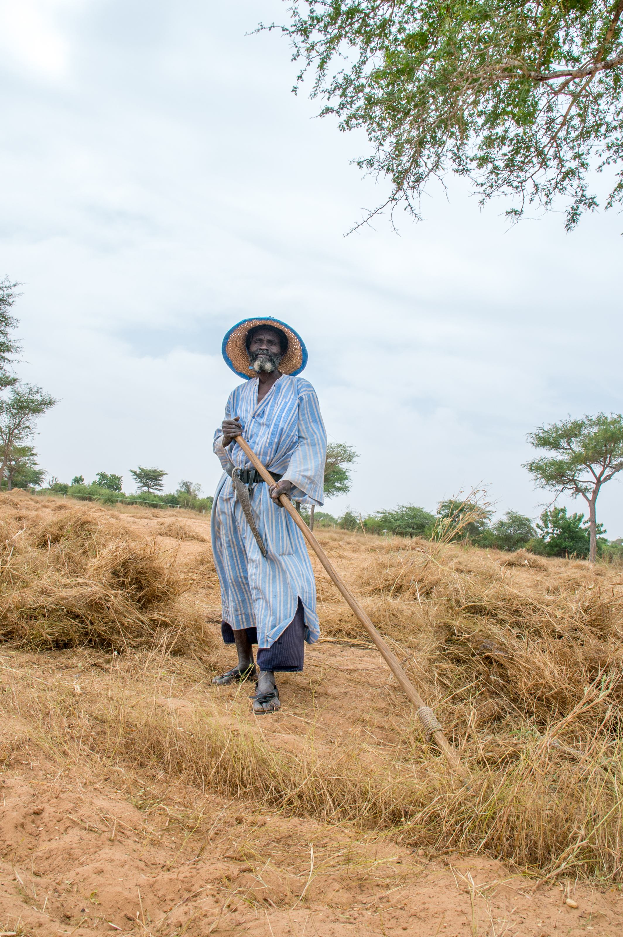 PAPSEN - Diourbel, contadino della comunità di Darou Fanaye Diop